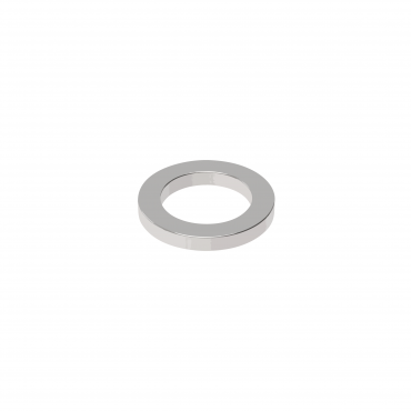 Ringmagnet