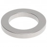Ringmagnet